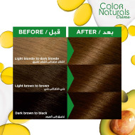 Garnier Color Naturals Crème - 5.3 Light Golden Brown